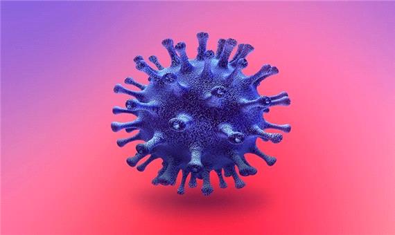 دانشمندان احتمالا نقطه ضعف ویروس کرونا را پیدا کرده‌اند