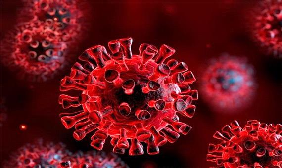 محققان: کرونا به ویروس فصلی شبیه آنفولانزا تبدیل می‌شود
