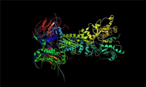 «دیپ‌مایند» چگونه با حل مساله ساختار پروتئین‌ها دنیای پزشکی را دگرگون می‌کند؟