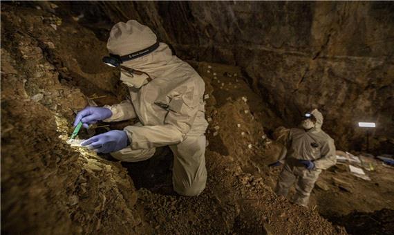 توالی‌یابی ژنوم خرس باستانی از خاک یک غار قدیمی